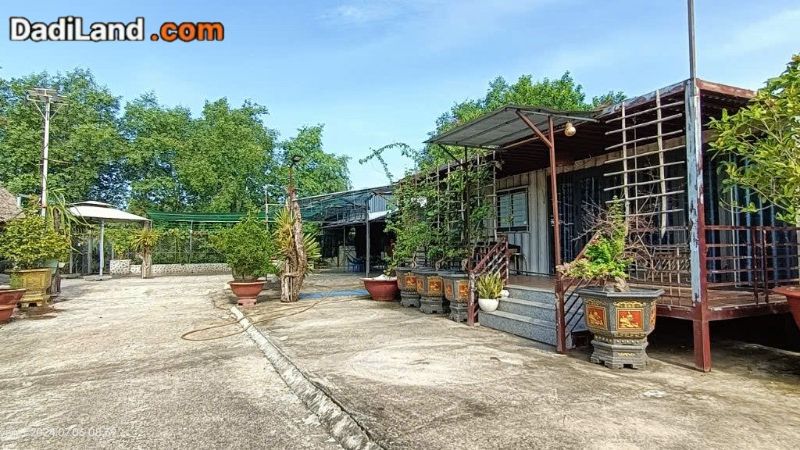 sgccr-du-an-dan-khong-oan-gia-ban-thong-tin-2026