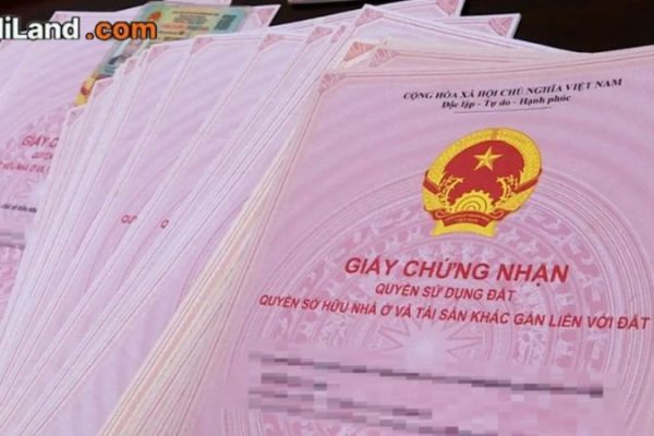 so-hong-co-gia-tri-bao-nhieu-nam-thong-tin-moi-nhat-2026