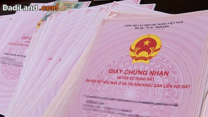 so-hong-co-gia-tri-bao-nhieu-nam-thong-tin-moi-nhat-2026
