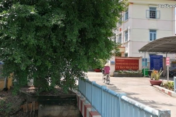 tan-quy-tay-thong-tin-chi-tiet-2026