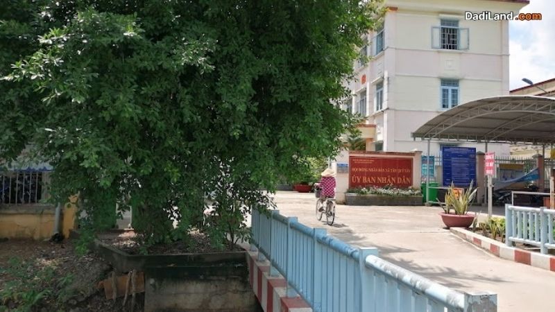tan-quy-tay-thong-tin-chi-tiet-2026