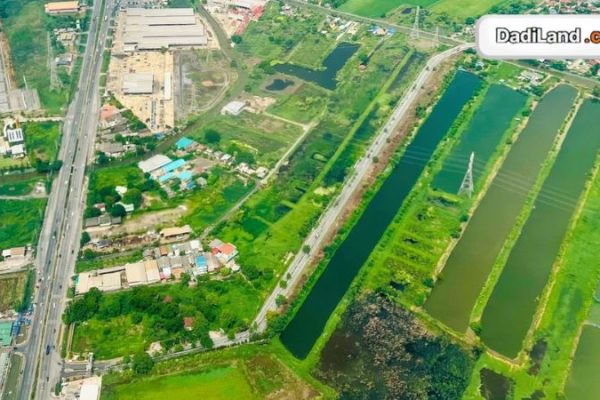 thach-bich-bich-hoa-thanh-oai-ha-noi