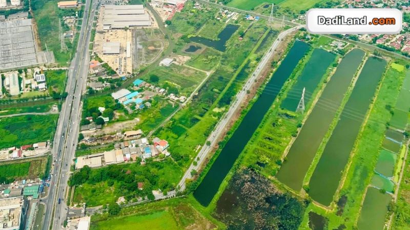 thach-bich-bich-hoa-thanh-oai-ha-noi