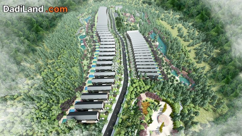 the-green-valley-du-an-dat-nen-tai-lam-dong