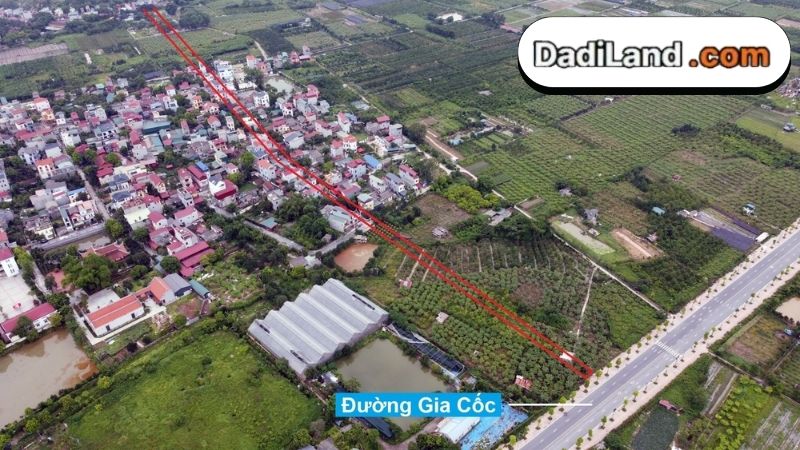thon-gia-coc-thong-tin-chi-tiet-2026