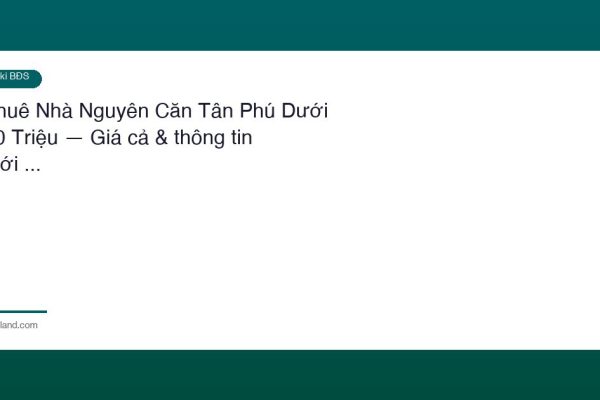 Thue Nha Nguyen Can Tan Phu Duoi 10 Trieu