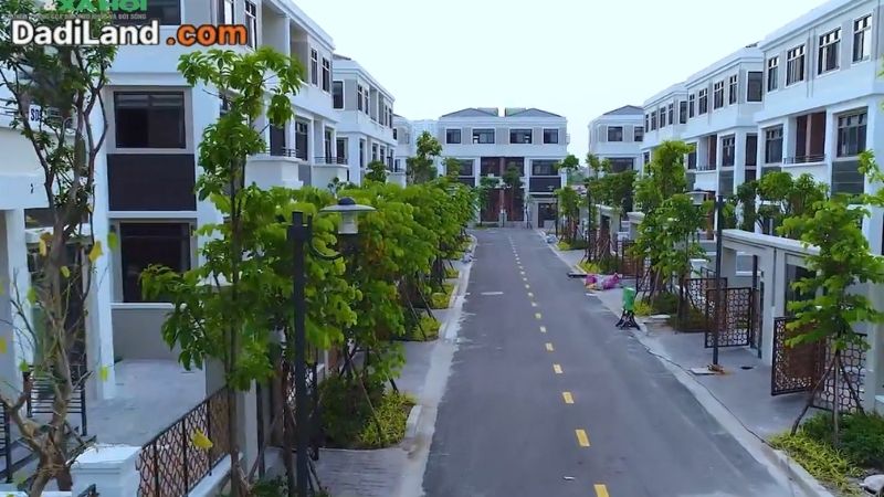to-hop-thuong-mai-can-ho-thaloga-econ