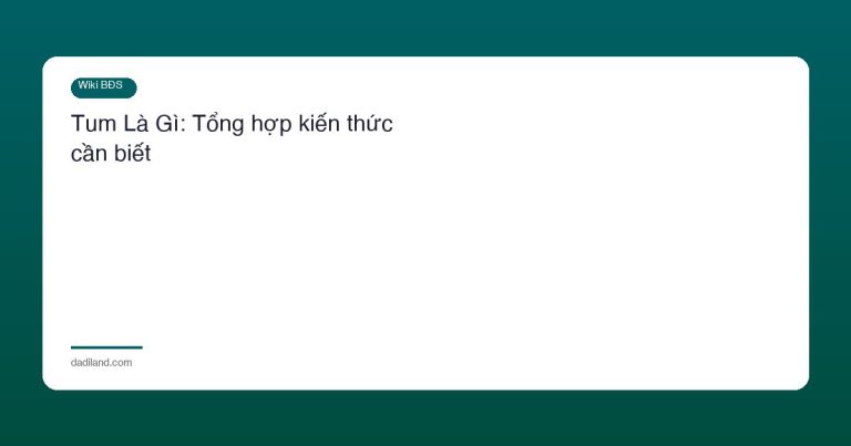 Tum Là Gì: Tổng hợp kiến thức cần biết