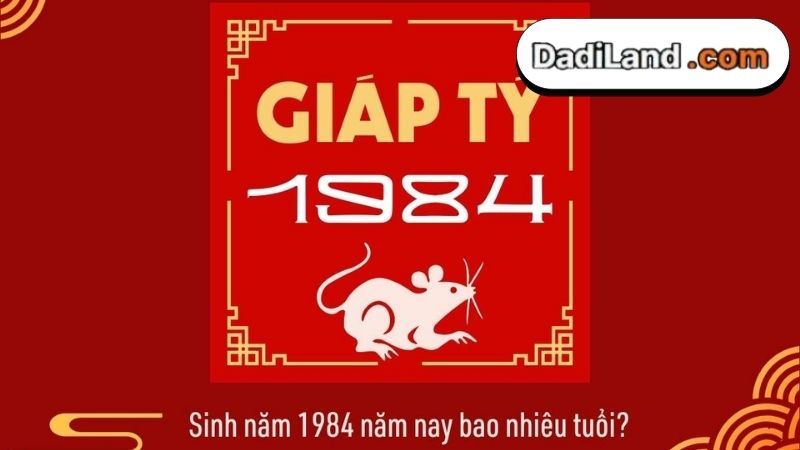 tuoi-ty-1984-nam-nay-bao-nhieu-tuoi-bang-gia-chi-tiet-cap-nhat-2026